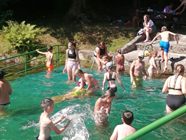 Koupání